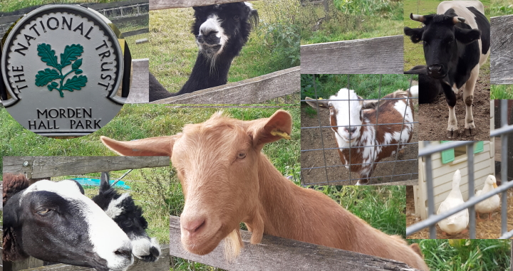 Learning in a farm